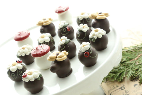 Chocolate Truffles ~ 16-Piece Gift ~ Daisy Patch